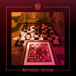 88. Äntligen ninjor