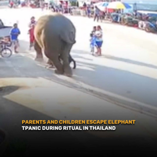 Good Morning Thailand EP.797 | Parents and Children Escape Elephant Panic During Ritual in Thailand & More..