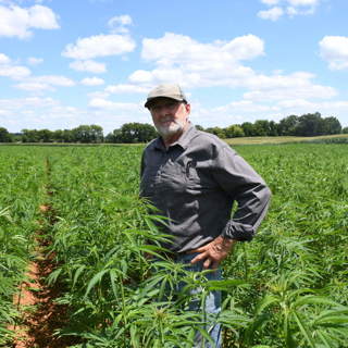 How Hemp-THC businesses are bracing for a near total ban