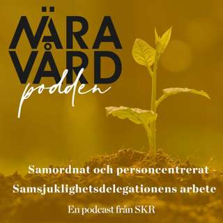 Samordnat och personcentrerat - Samsjuklighetsdelegationens arbete