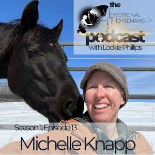 Feels Like Coming Out of Michelle, with Michelle Knapp