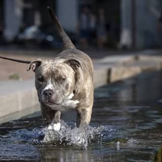 Wararka maanta ee Raadiyaha Iswiidhen