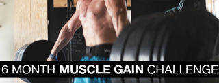 [6 Month Muscle Gain Challenge]
