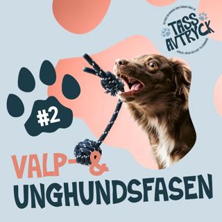 Valp- och unghundsfasen!