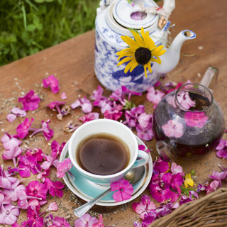 Ep. 09 Herbs for Your Teacup