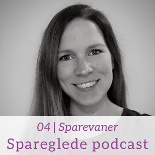04 | Sparevaner