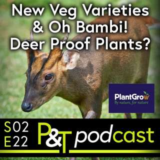 Stunning New Veg Varieties for this Season, and Oh, Bambi! Are There Any Deer Proof Plants?