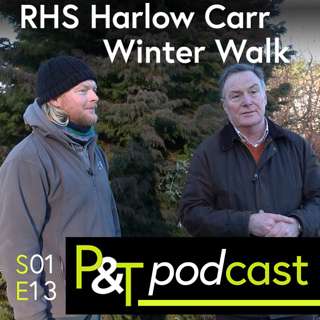 Plant Colour and Interest in Winter - RHS Harlow Carr's Winter Walk