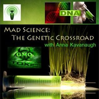 Monsanto: Down The Rabbit Hole