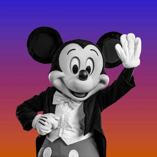What Next - It’s a Rich Man’s Disney World