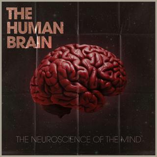 The Human Brain: Leading Experts On Preventing Cognitive Decline, Understanding Addiction, The Neurochemistry of Spirituality & The Mind-Body Connection