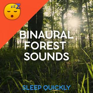 😴🍂 Binaural FOREST SOUNDS