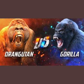 Gorilla Power Unleashed