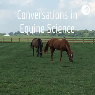 Horse health research and how it is helping humans.