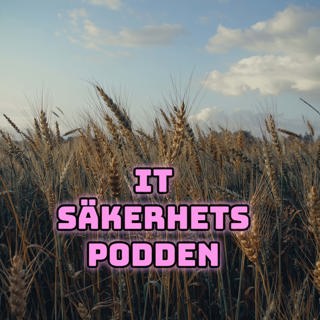 #220 - Ryska Google Yandex