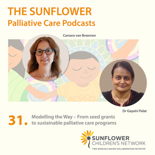 31. Modeling the way - from seed grants to sustainable programs