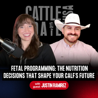 406: Fetal Programming: The Nutrition Decisions That Shape Your Calf’s Future with Justin Ramirez