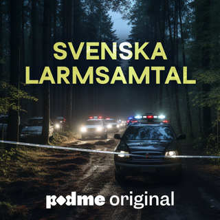 Gängmördad av misstag