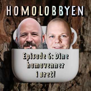 Homovenner i øret: Nye takter, Berlin og eksplisitte svar