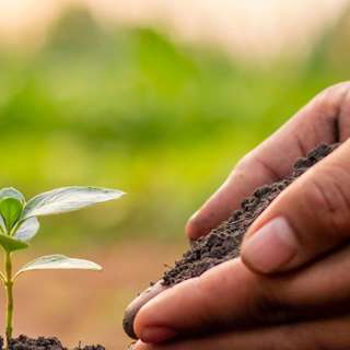 7.12.26 - A Story, A Seed, and a Parable