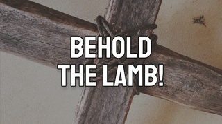 Behold the Lamb!