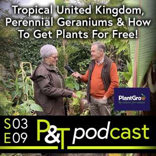 Secret Garden of Louth, Perennial Geraniums & How To Get Plants For Free!
