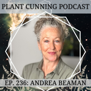 Ep.236: Don't Be Afraid of the Herbs: Andrea Beaman on Natural & Spiritual Healing