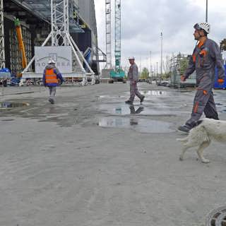 Svårmätta effekter 30 år efter Tjernobyl