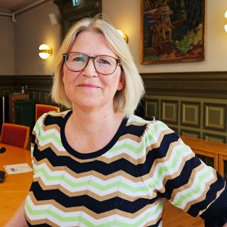 Kommunedirektørens klimakompass