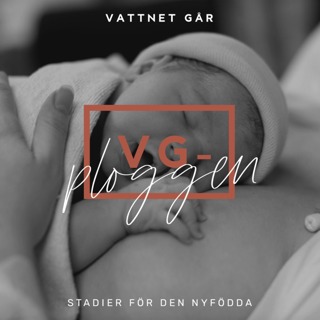 543. VG-ploggen - Den nyföddas första stadier