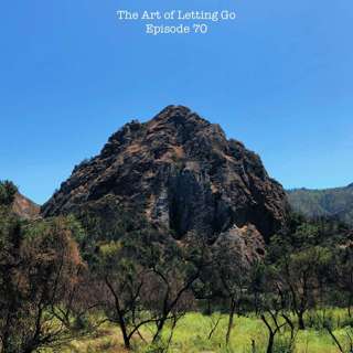 The Art of Letting Go EP 70 (Healing Conversations with Trudy Panalal)