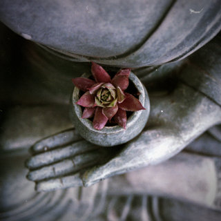 66 - Buddha's Teachings 8: Four Brahmaviharas, or Sublime Social Attitudes - Part 2