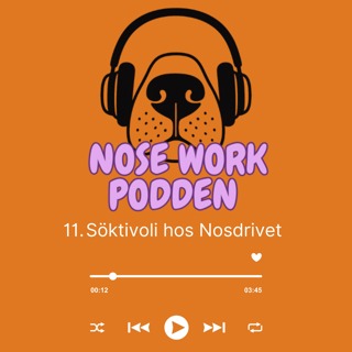 11. Söktivoli hos Nosdrivet