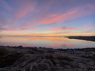 358. Jag såg en sädesärla