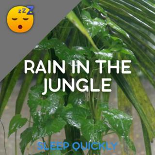 😴🌧️ Heavy RAIN in the JUNGLE Sound