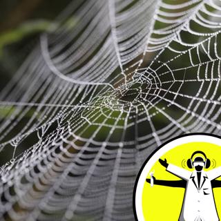 Biomimicry: Borrowing from Biology