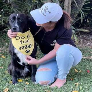 PODCAST: Please help Candice from Australia Zoo to save this beautiful foster dog