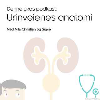 Urinveiene