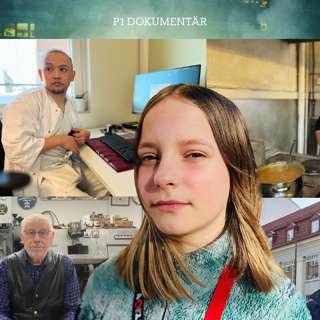 En dag i Sverige 2025