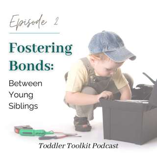 Fostering Bonds Between Young Siblings