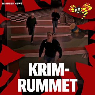 Aktivklubb – den nya nazistvågen