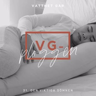 148.VG-Ploggen, "Den viktiga sömnen"
