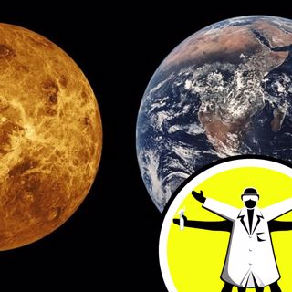 Meet the Neighbours: Venus and Mars