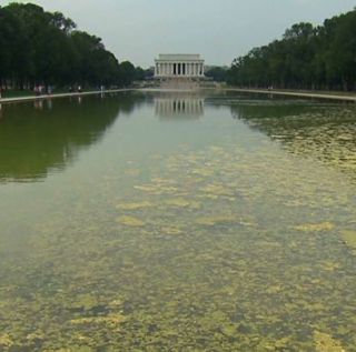 The Prarieland Defendents and the President's Pee Pool