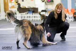 Denise Fenzi – Fenzi dog sports academy; "Stay in the happy bucket"