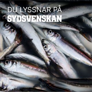 Sillkrisen i Östersjön