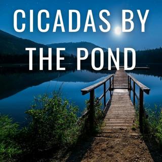 Cicadas Chirping by the Pond - Nature Sounds