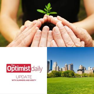 6 Climate-Friendly Lifestyle Shifts & City Trees