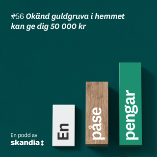 #56 Vendela Ragnarsson: Okänd guldgruva i hemmet kan ge dig 50 000 kr