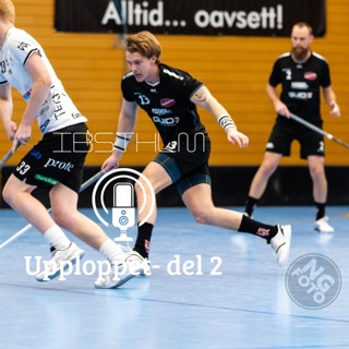 Upploppet del 2